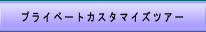 プライベートカスタマイズツアー.