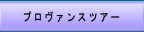 プロヴァンスツアー.